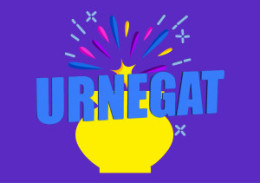 Logo vlag Versie 1 .jpg